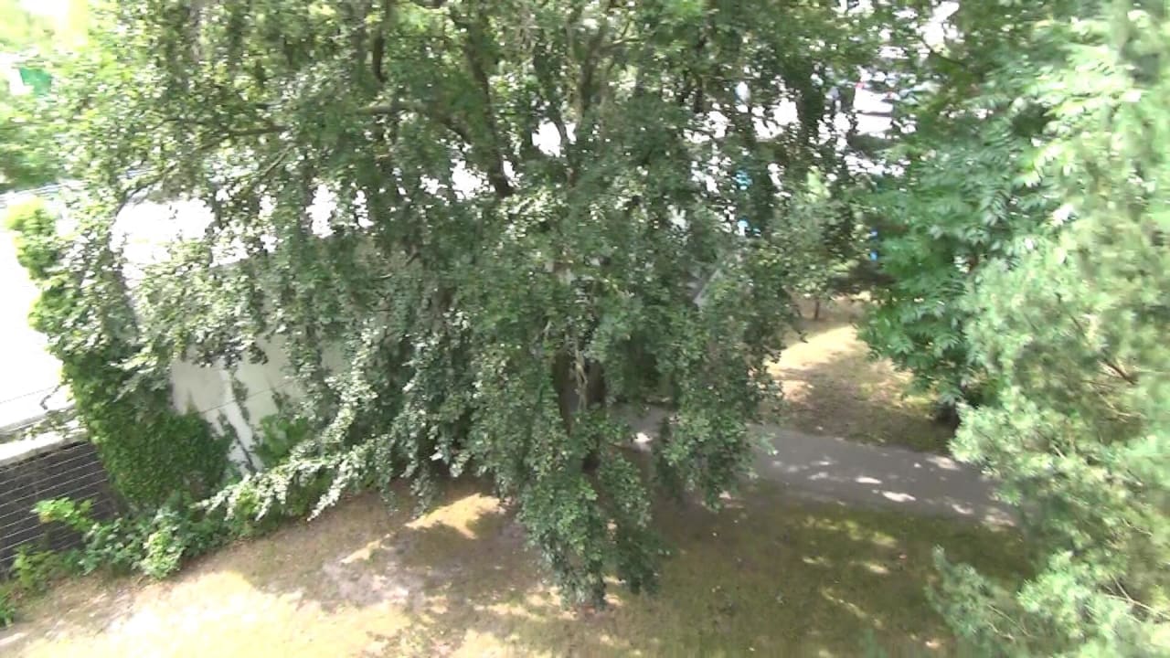 Sonstiges IFA Rügen Hotel & Ferienpark