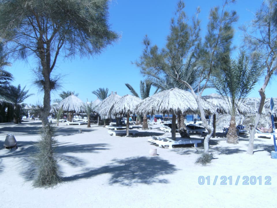 Strand Utopia Beach Club