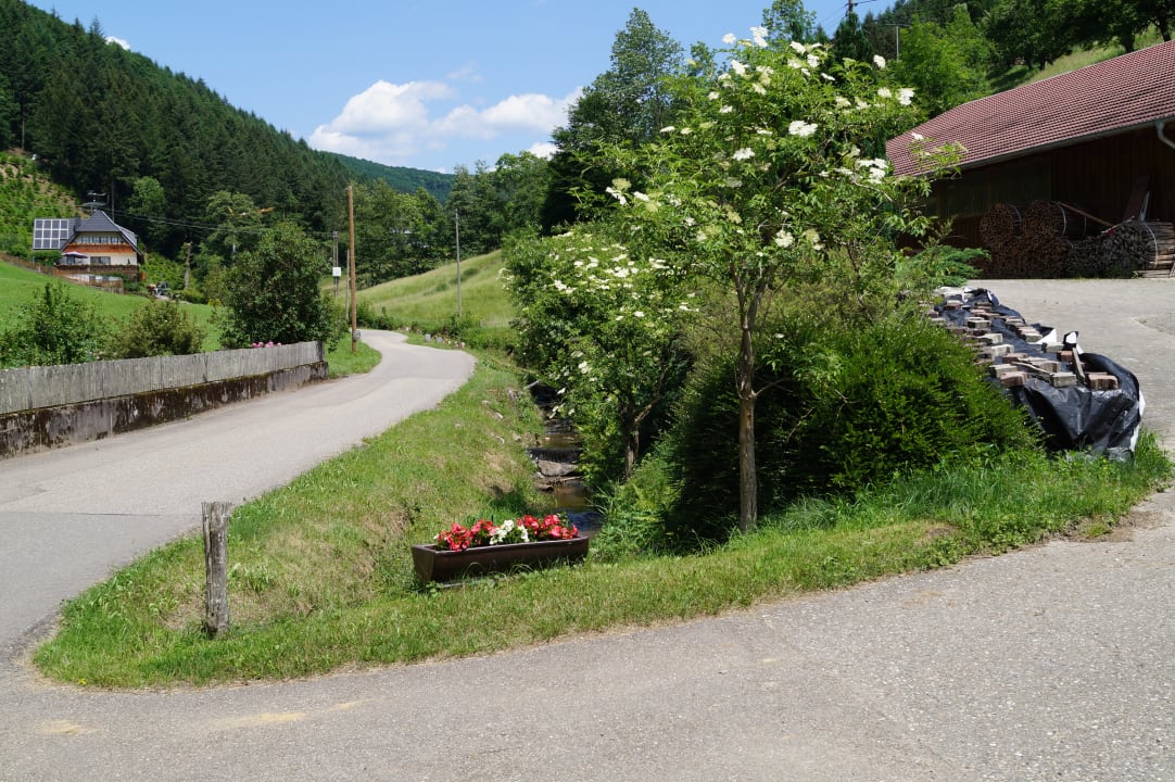 Ausblick Vorderhof