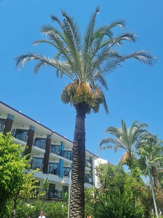 Außenansicht Belek Beach Resort Hotel