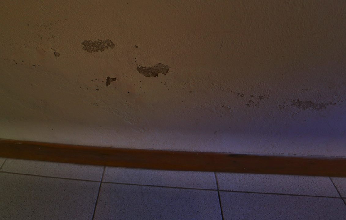 Wand Apartments in Marina Di Bibbona