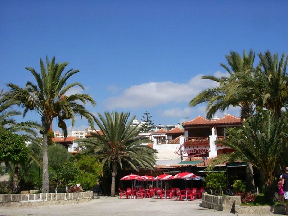 Pub (Musikkneipe) unmittelbar vor der Anlage Paraiso Royal Apartments