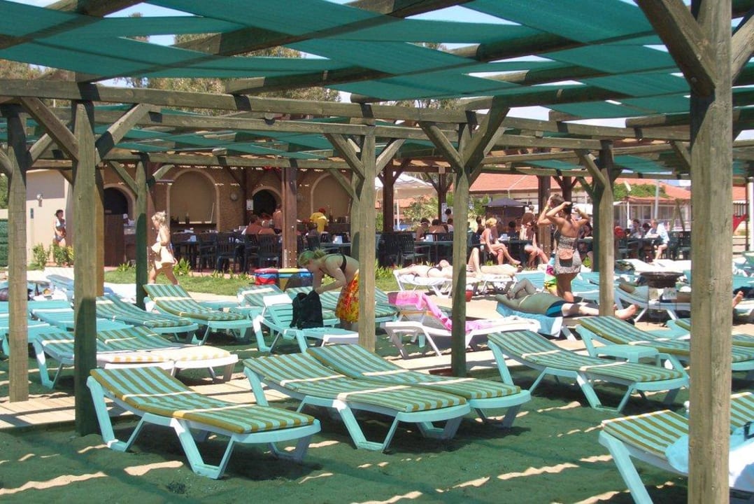 Liegebereich am Strand mit Strandbar im Hintergrund Marvida Family Eco