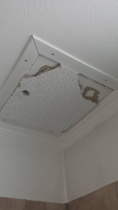 Cuando llovio caia agua y se caían trozos Hotel am Zoo