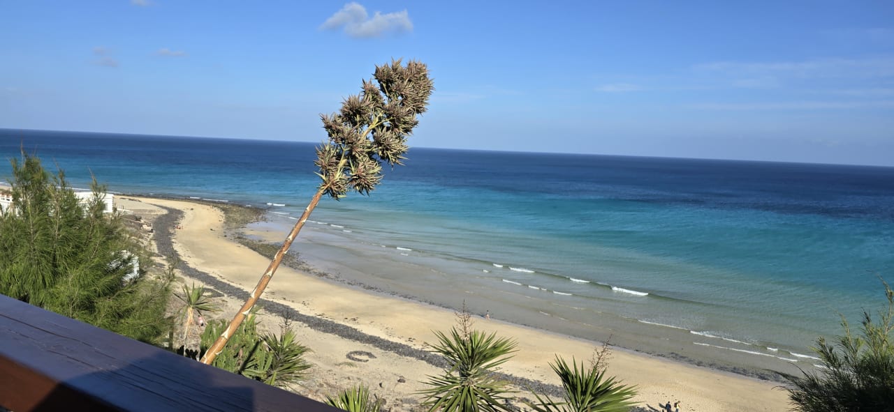 Ausblick Marina Playa Suite Hotel