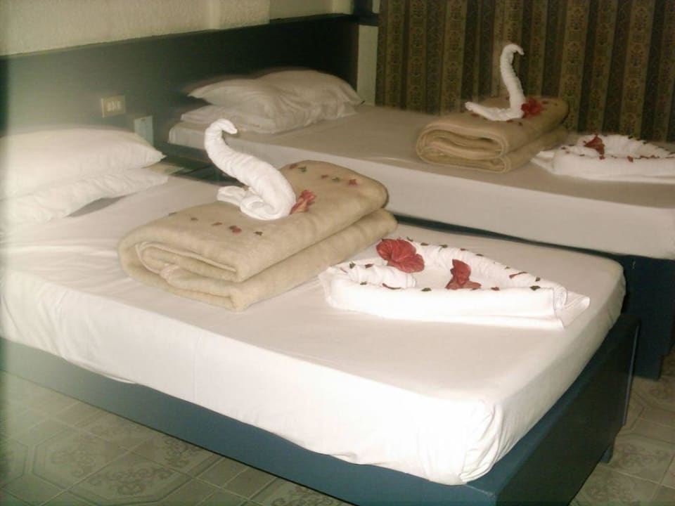 Deko Eagles Paradise Abu Soma