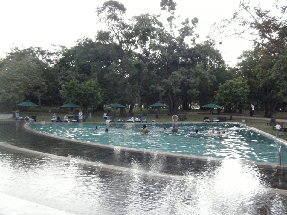 Am Abend viel los im Pool Habarana Village by Cinnamon