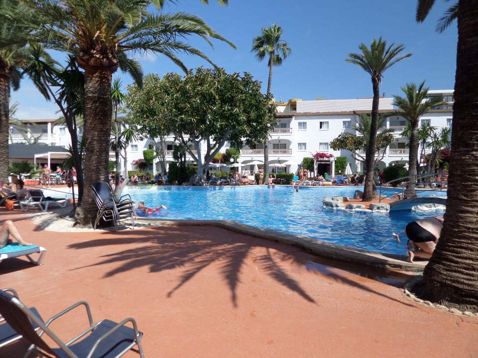 Pool Alcudia Garden Aparthotel