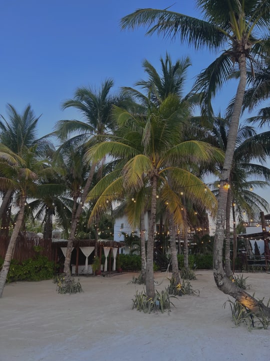 Gartenanlage Villas HM Palapas del Mar