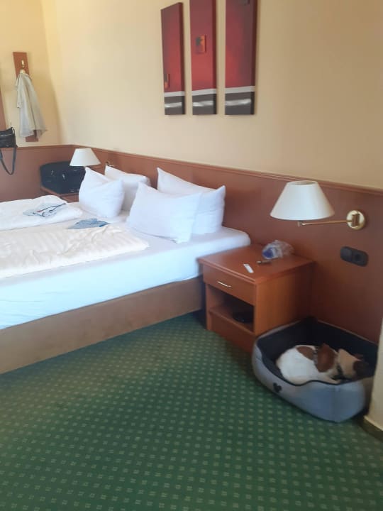 Zimmer Hotel Waldperle