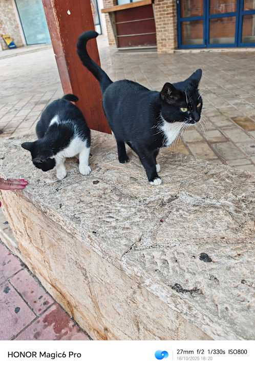 Sport & Freizeit Stelio's Gardens