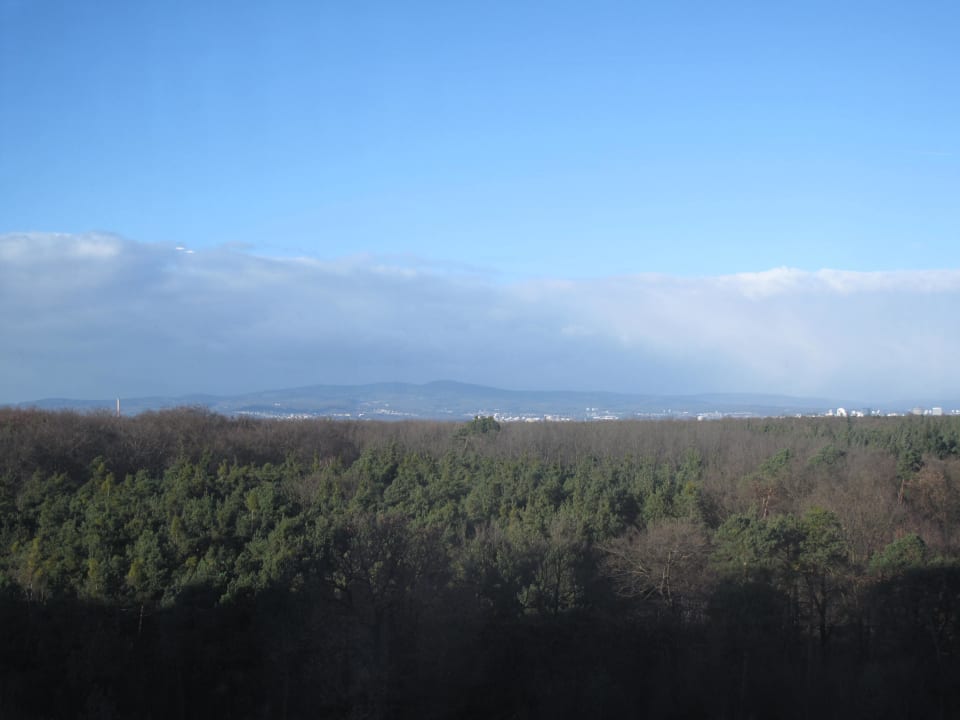 Vom Zimmer aus Hilton Frankfurt Airport