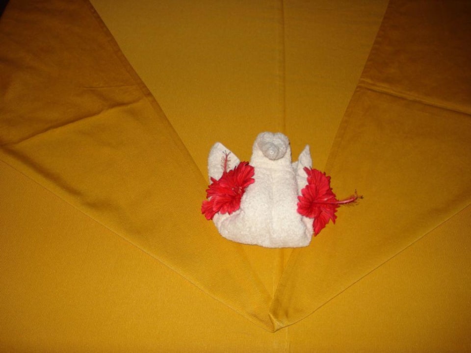 Doppelbett Standard Bungalow Karafuu Beach Resort & Spa