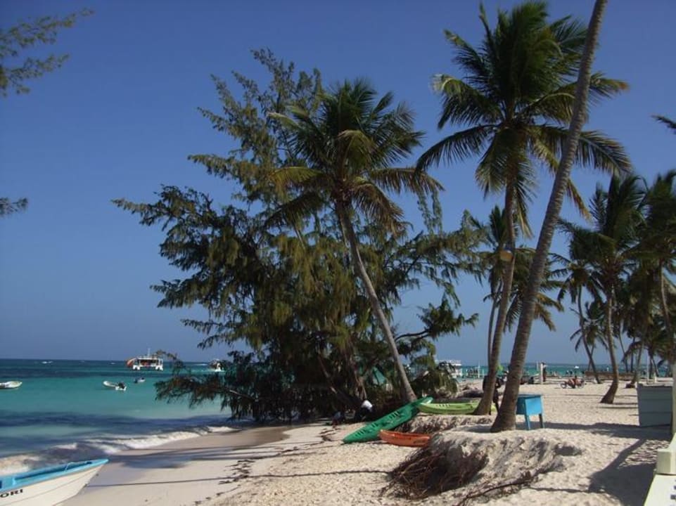 Weggespülter Strand whala!bávaro
