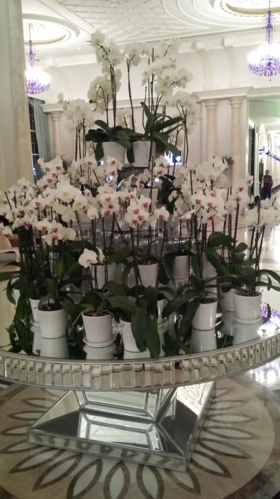 Lobby Rubi Platinum Spa Resort & Suites