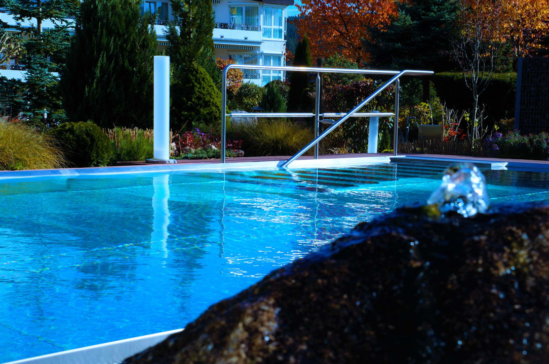 Pool Parkhotel Flora