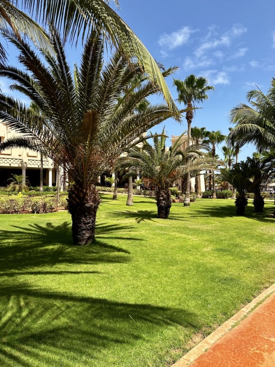 Gartenanlage Hotel Riu Touareg