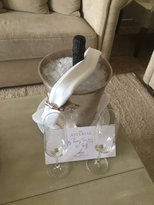 Zimmer Sani Asterias