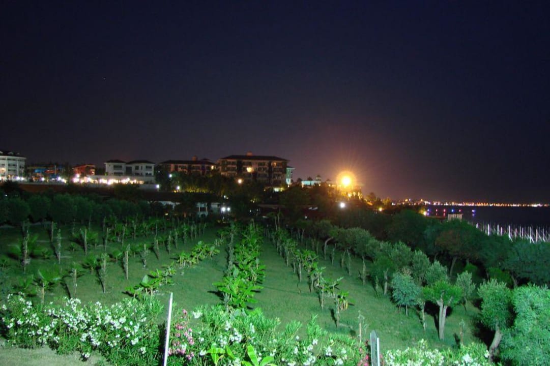 Ogród Alba Resort Hotel