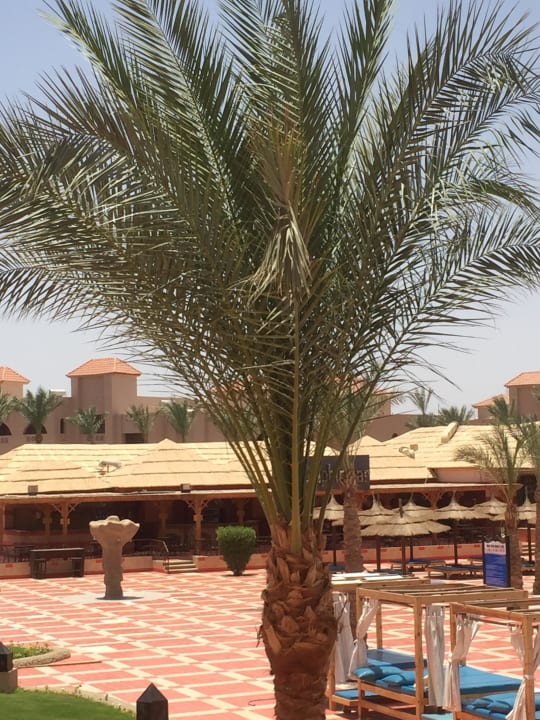 Pool Pickalbatros Aqua Vista Resort - Hurghada