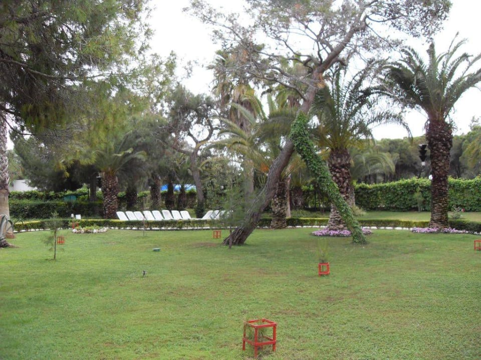 Garten Asteria Collection Side