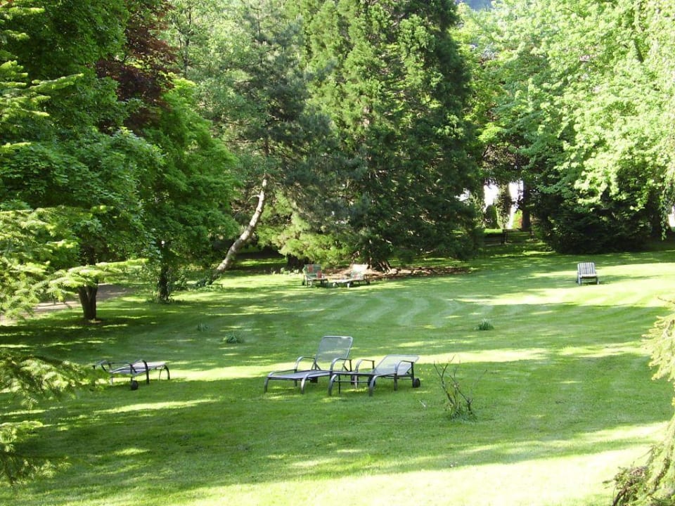 HotelHirschen Hotel Hirschen