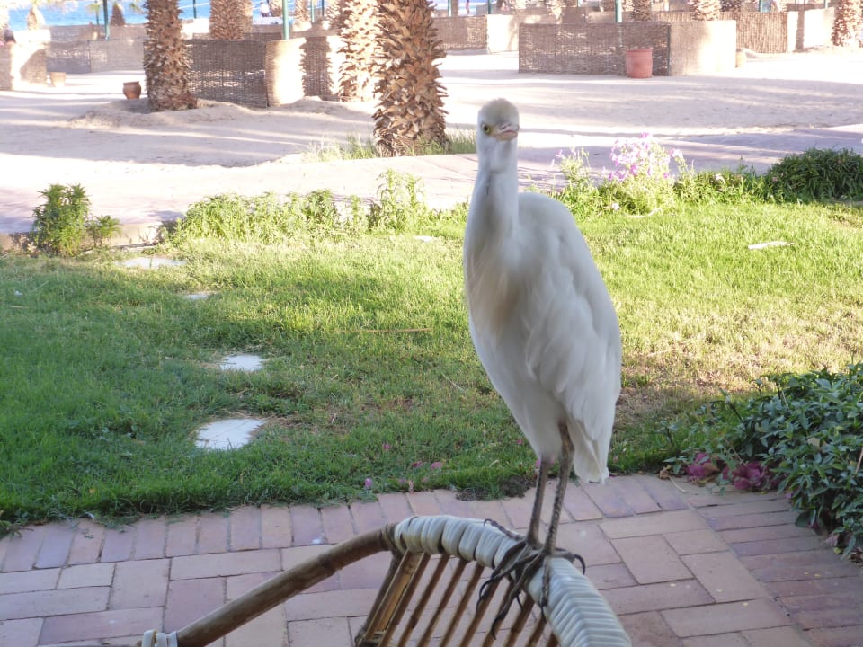 Sonstiges Lotus Bay Beach Resort