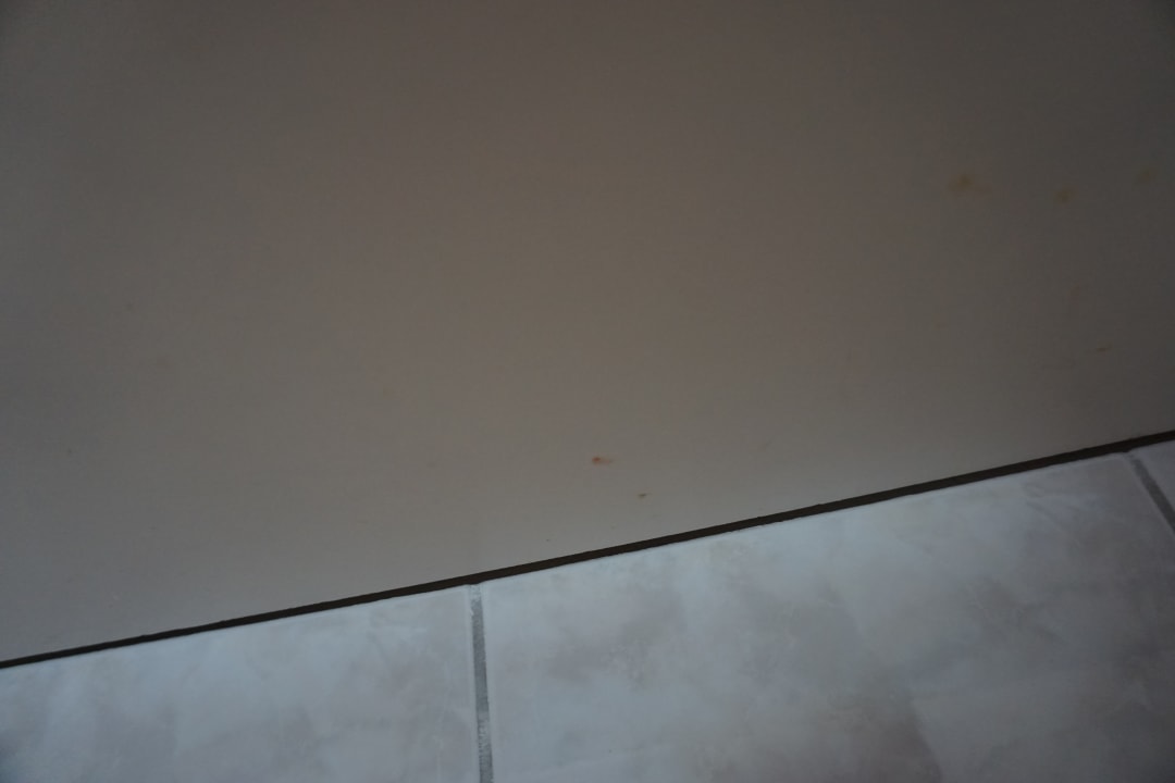 Zimmer Apartments Pomer