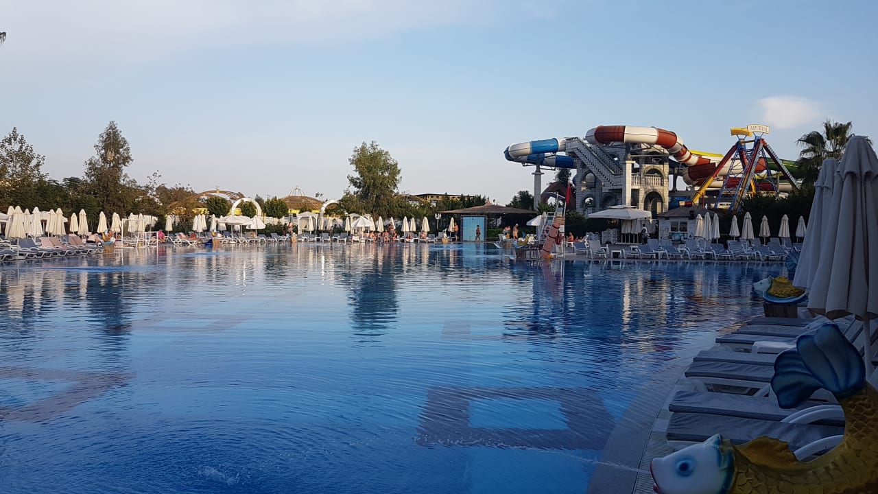 Pool Hotel Delphin Imperial