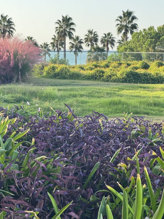 Ausblick Voyage Belek Golf & Spa