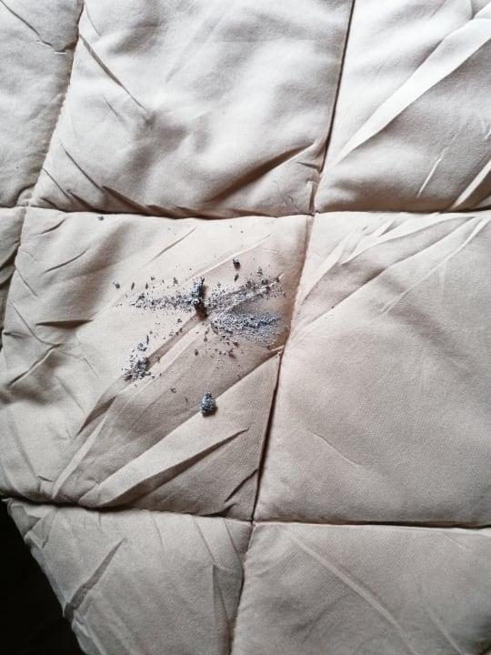 Zimmer Oostappen Vakantiepark Prinsenmeer