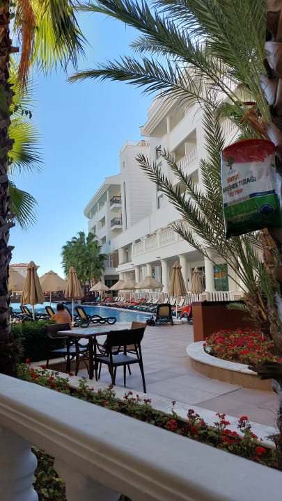 Pool Alba Queen Hotel