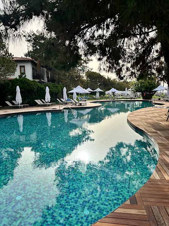 Pool Voyage Sorgun