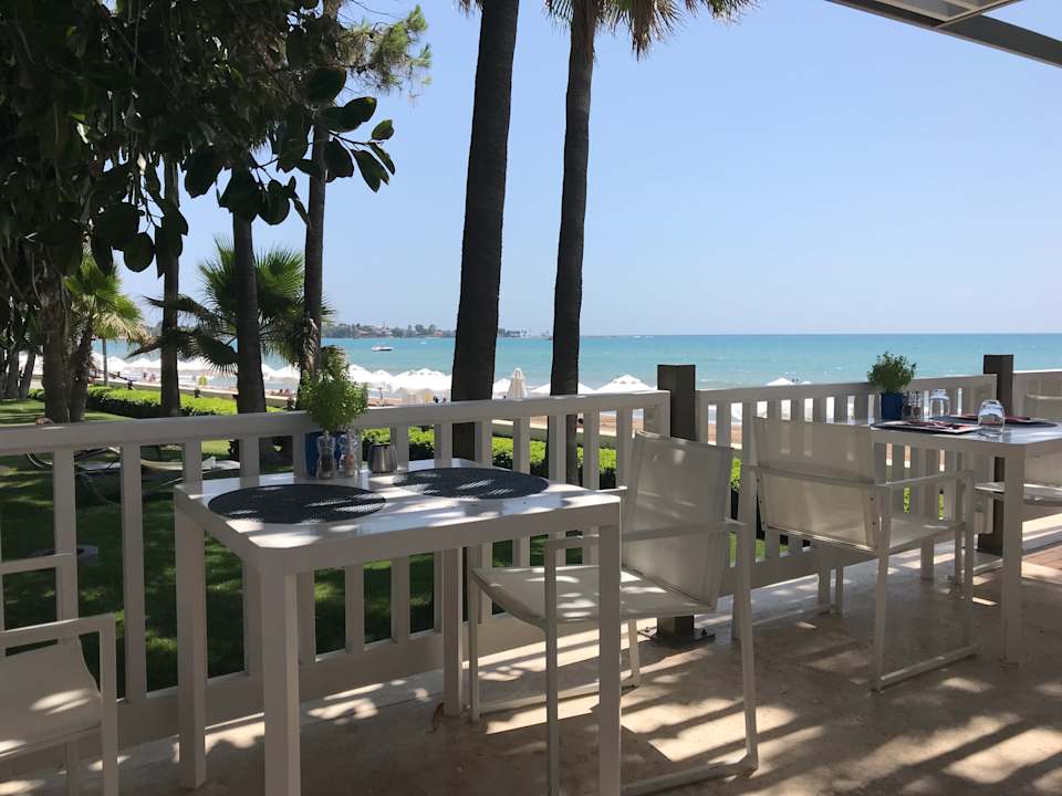 Restaurant Roka Acanthus Cennet Barut Collection