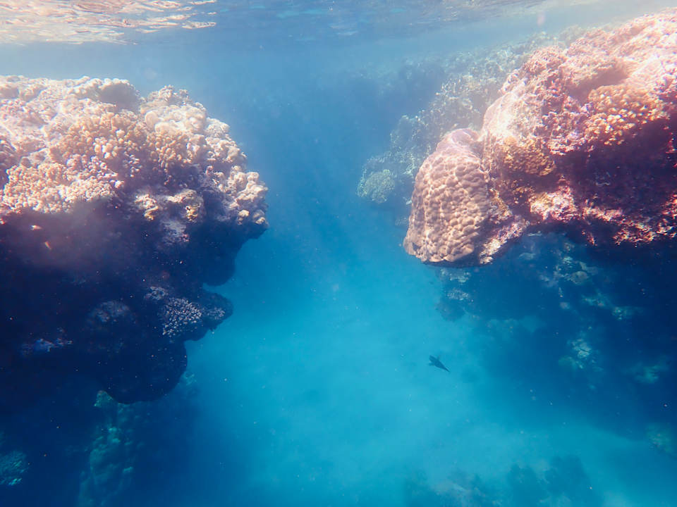 Strand Utopia Beach Club