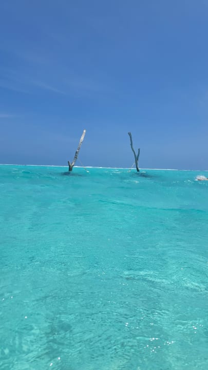 Ausblick Summer Island Maldives