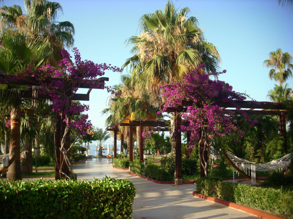 Super schön Saphir Resort & Spa