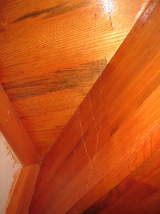 Spinnennest  Sultanahmet Suites Hotel