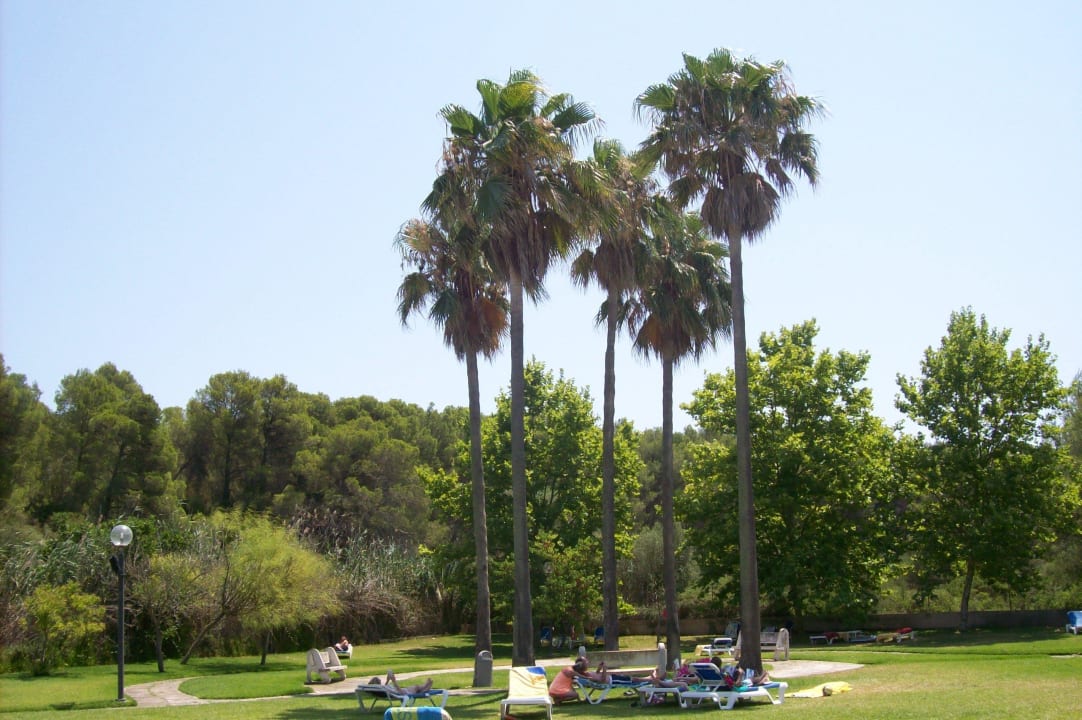 Super Gartenanlage Hotel Exagon Park