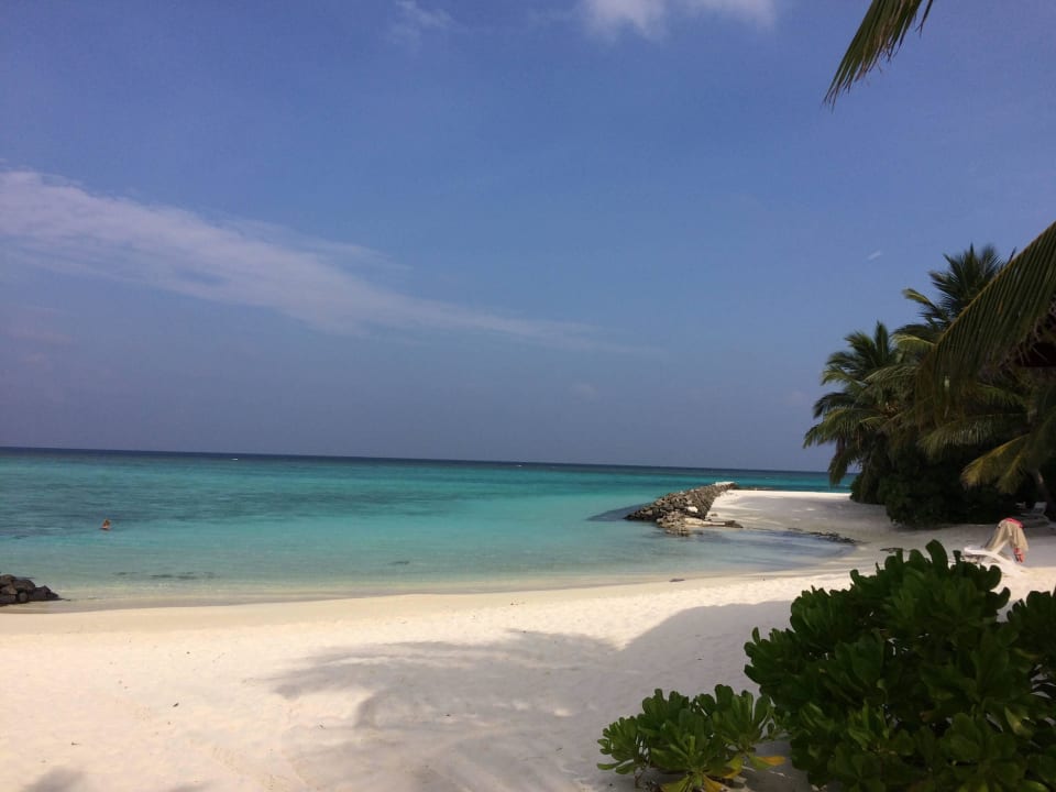 Strand Summer Island Maldives
