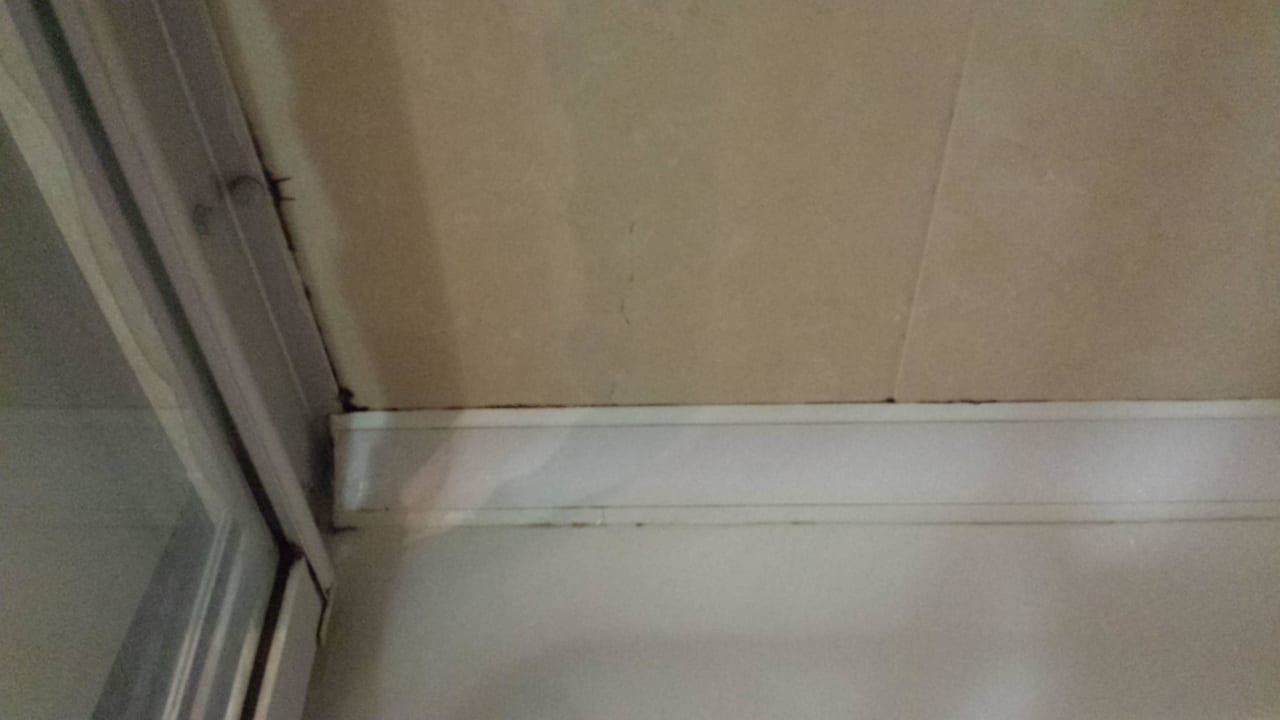 Schimmel in der Suite-Dusche PALOMA Perissia