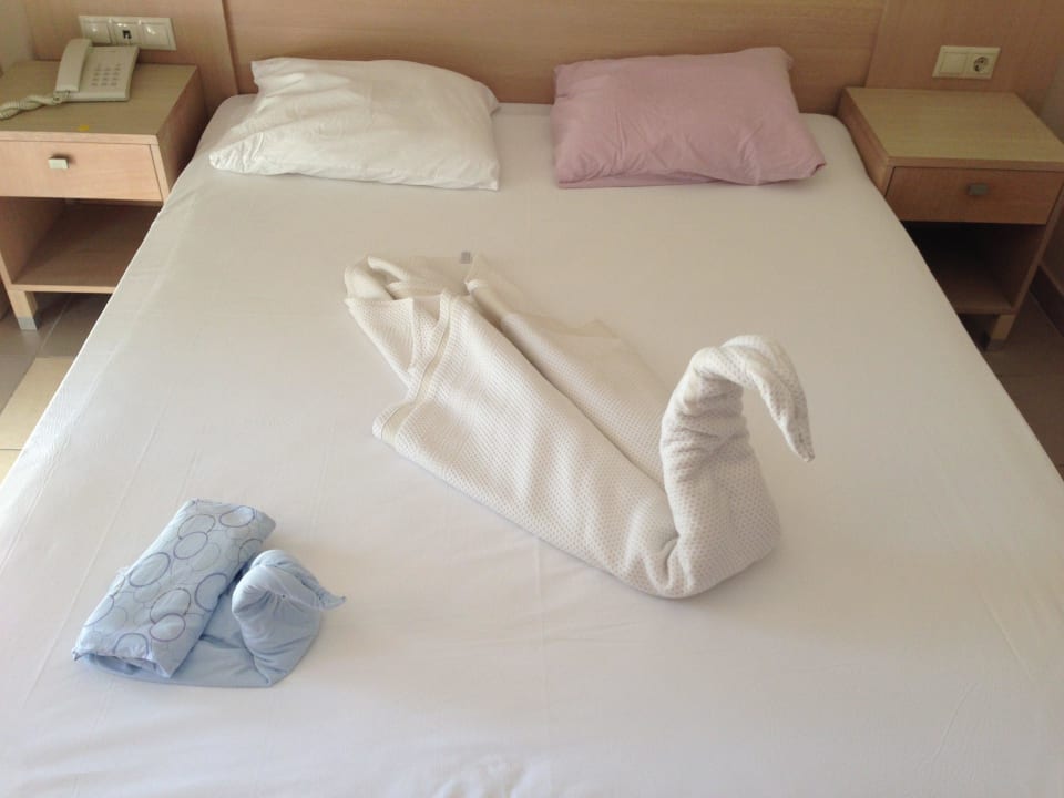 Schwan im Bett Can Garden Resort