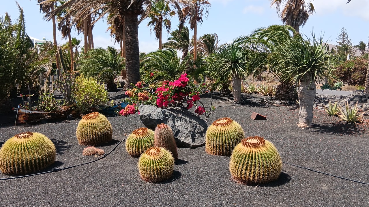 Sonstiges allsun App.-Hotel Albatros