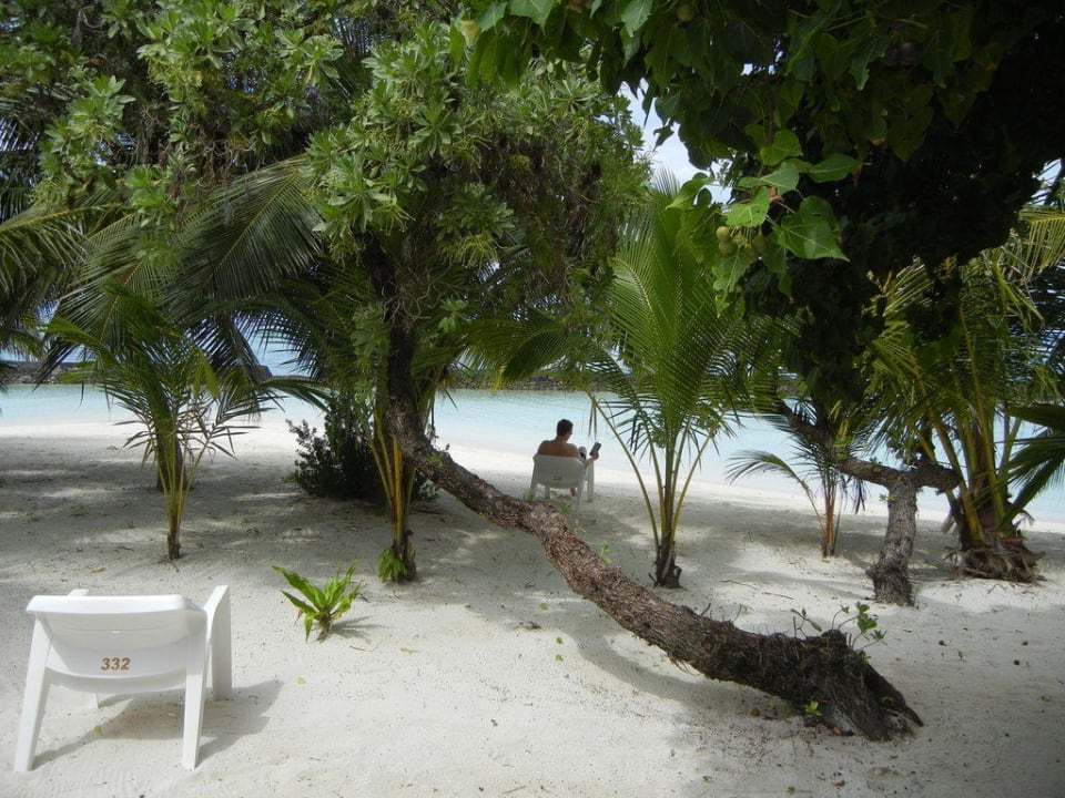Deluxe Beach Villa 332 - Blick auf den Strand  Kuramathi Maldives