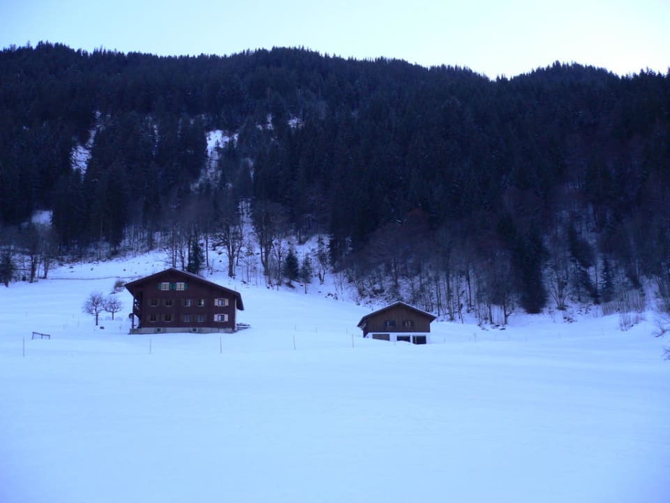 Blick aus dem Fenster Hotel Silbertal