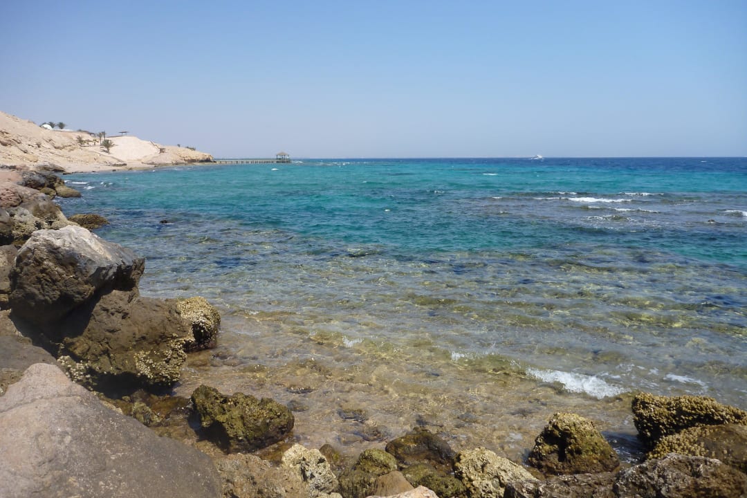 Citadel Azur Resort Pickalbatros Citadel Resort