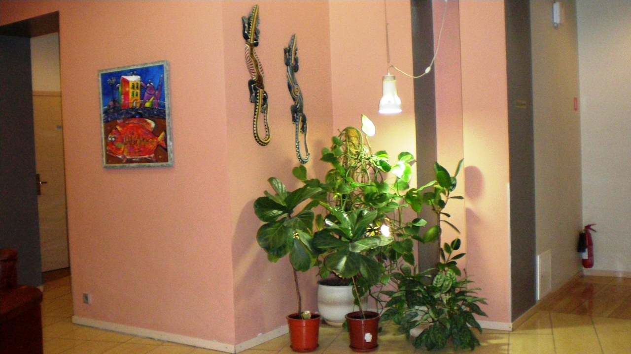 Hotelflur Hotel The 5th Corner