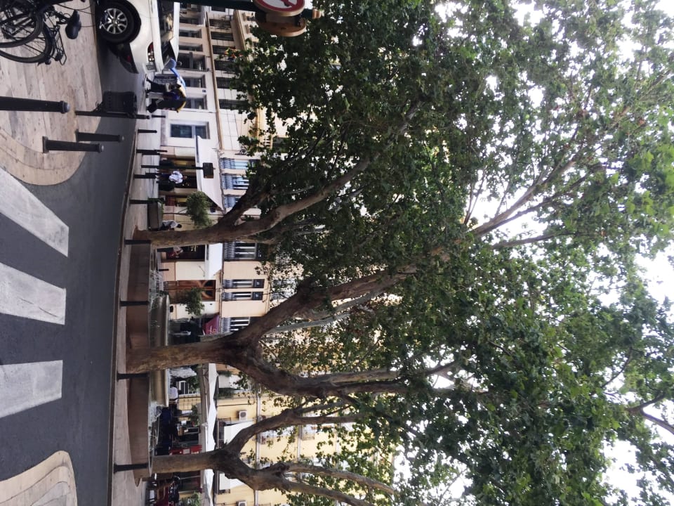 Ausblick vor dem Hotel Ayre Hotel Astoria Palace