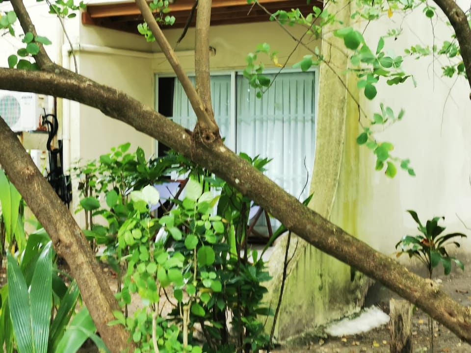 Außenansicht Biyadhoo Island Resort