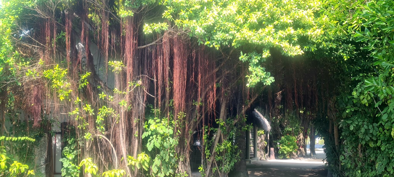 Gartenanlage Adaaran Select Hudhuran Fushi - Premium All Inclusive